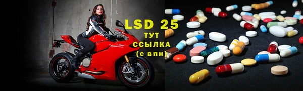 прущие грибы Абинск