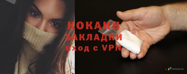прущие грибы Абинск