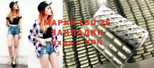 прущие грибы Абинск