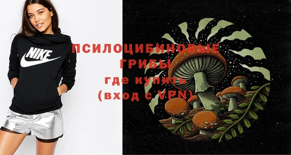 прущие грибы Абинск