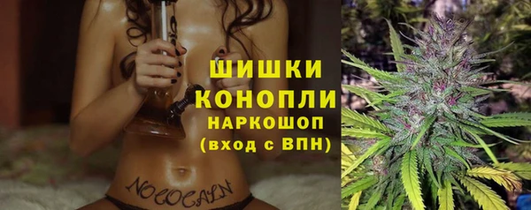 не бодяженный Новозыбков