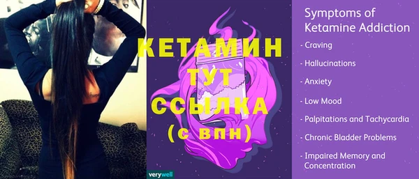 прущие грибы Абинск